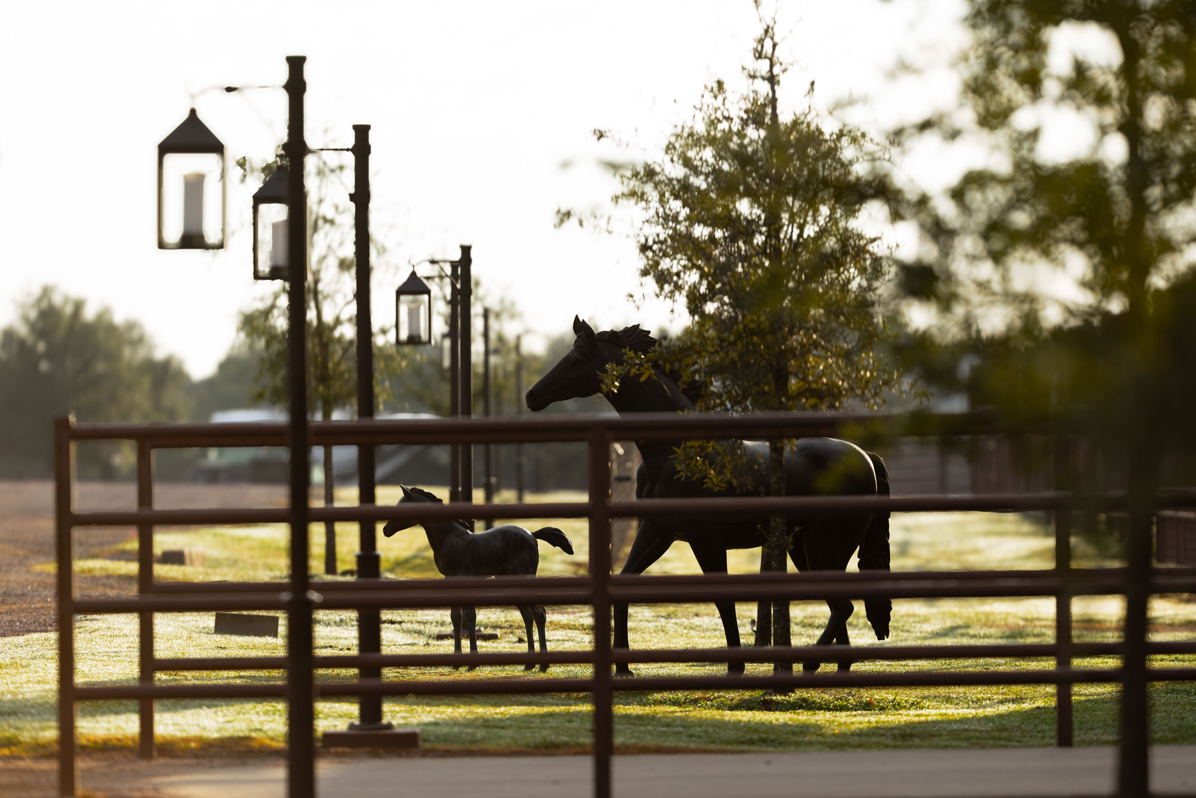 CS Ranch, Gordonville, Texas
