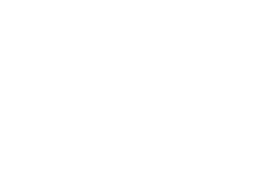 Total Saddle Fit