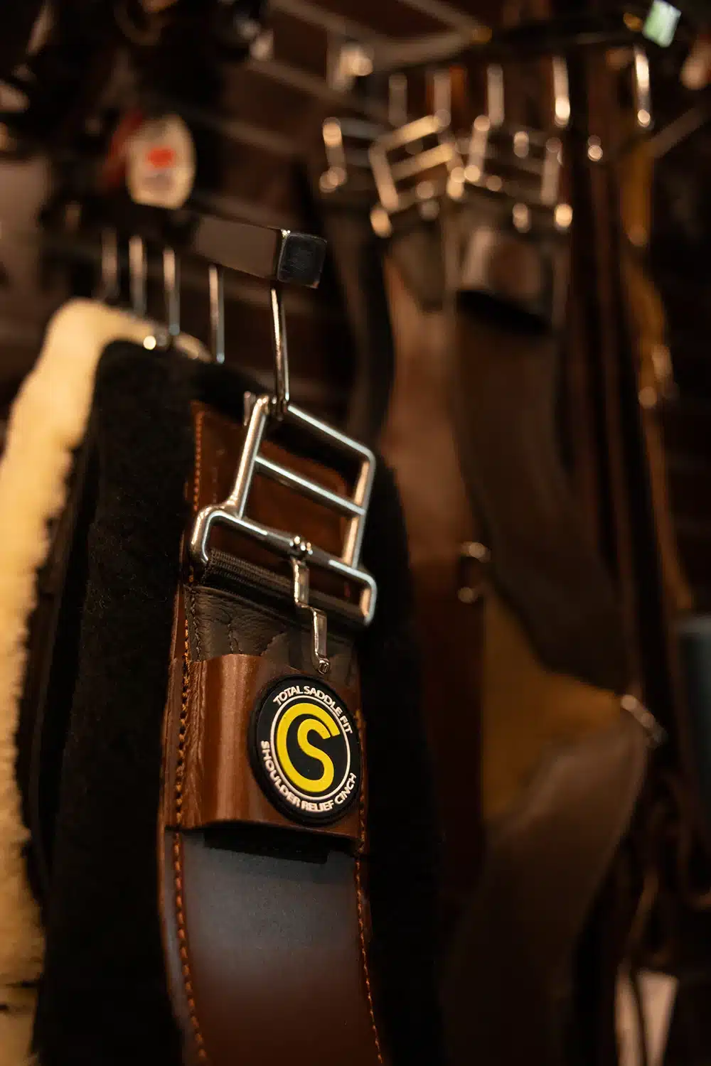 A CS Ranch horse tacked up with Total Saddle Fit
