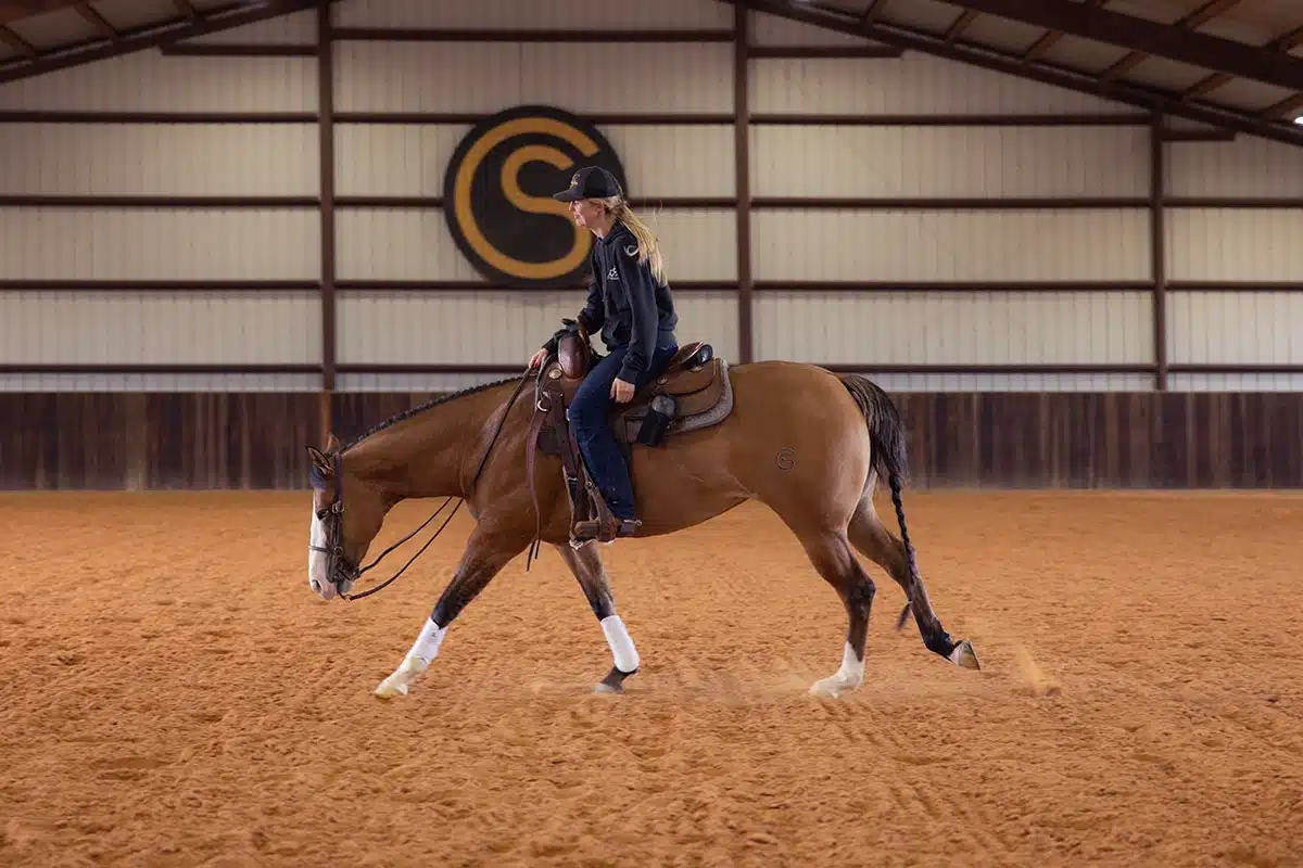 A rider schooling a bay horse in the CS Ranch indoor arena